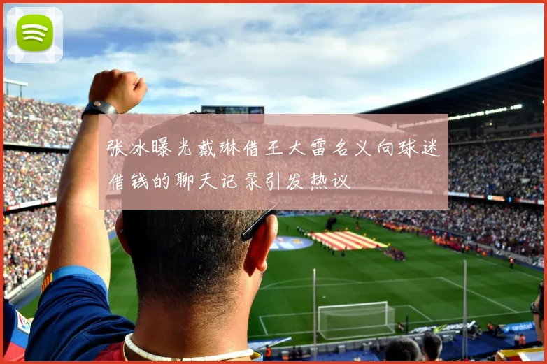张冰曝光戴琳借王大雷名义向球迷借钱的聊天记录引发热议